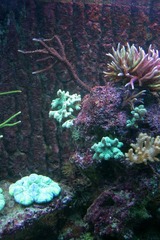 Killikus&reg; Fotographie